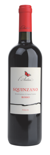 L Antesi SQUINZANO Squinzano DOP 2021 0,75 l