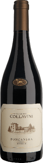 Collavini Merlot Poncanera Venezia Giulia IGT 2021 0,75l 