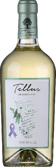 Falesco Tellus Chardonnay Bianco Lazio IGP 2022 0,75l 